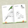 bird coloring book inside