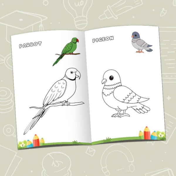 bird coloring book inside